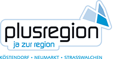 Plusregion Logo